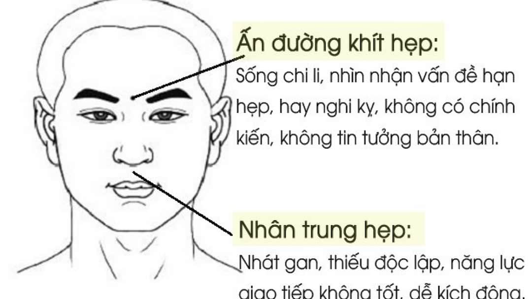 Nhân tướng học chỉ ra một phần giúp để hiểu hơn về tính cách