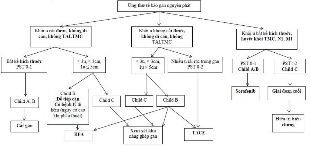 Phương pháp chữa trị ung thư gan