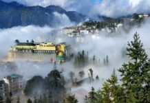 Kinh Nghiệm Du Lịch Sapa Tự Túc Siêu Chi Tiết 2026 Sapa là một thị xã nằm ở phía Tây tỉnh Lào Cai, Việt Nam